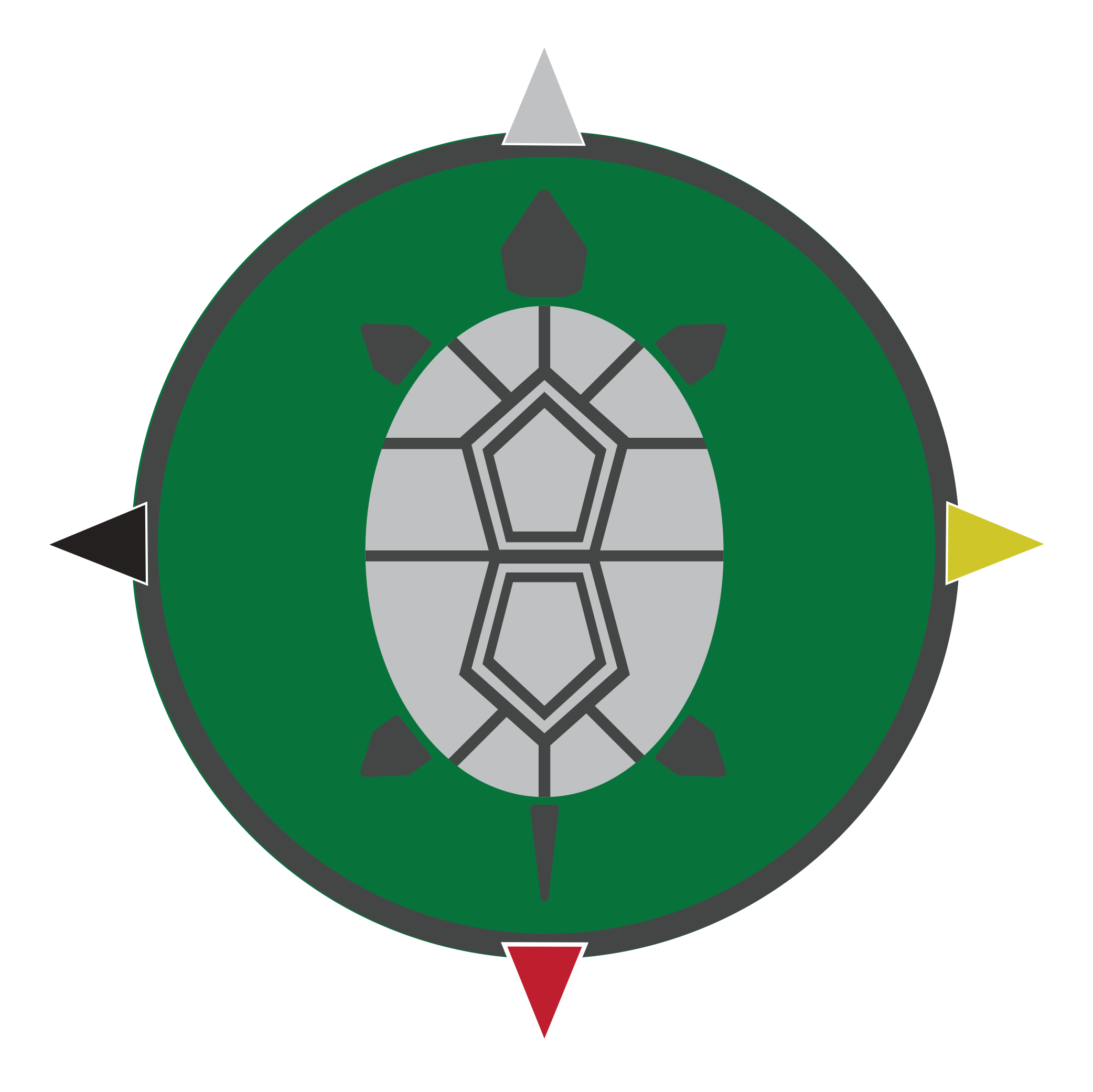 Apeiron Turtle_green